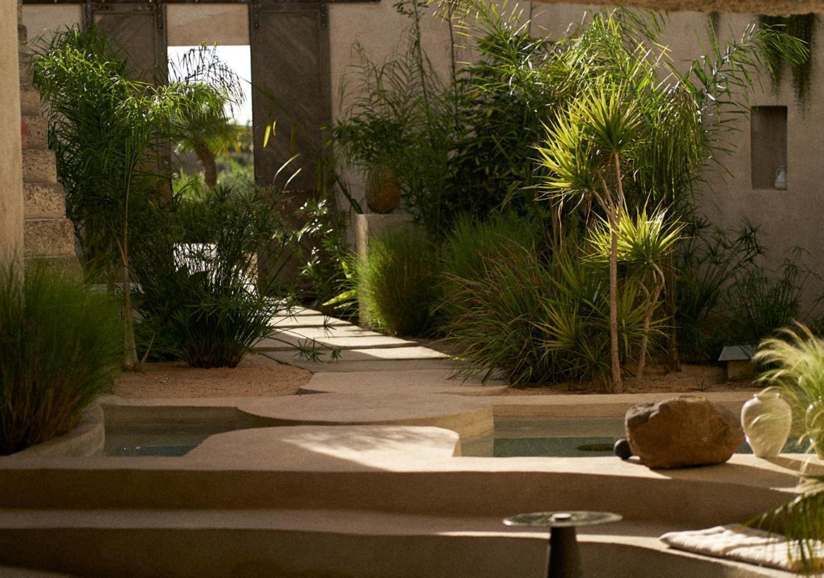 Ecohotel El Agua Arico el Nuevo Exterior foto